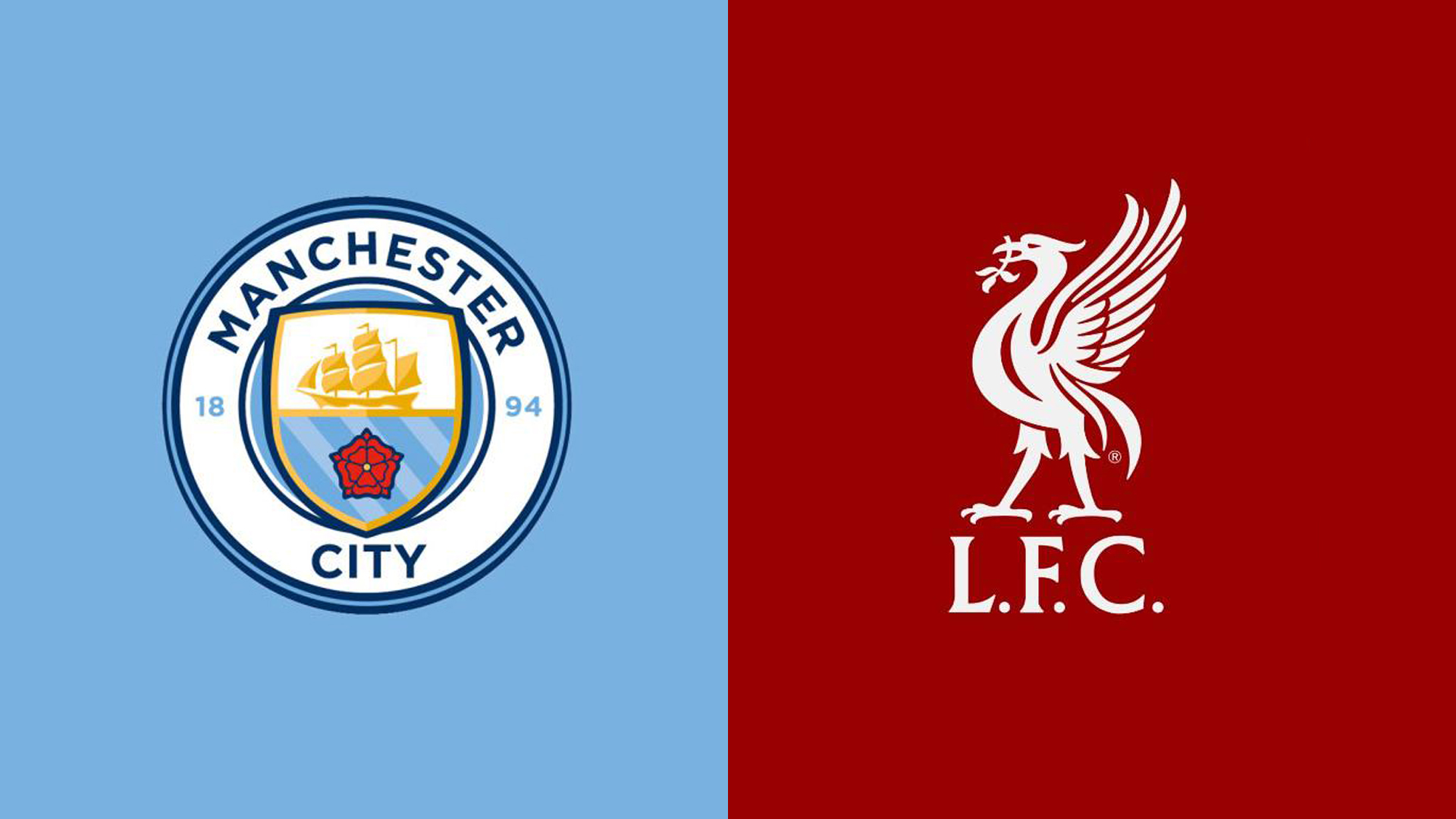 本文将为您 本文将为您